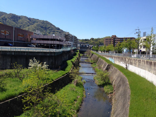 小畑川上流、大枝付近(京都市西京区)。