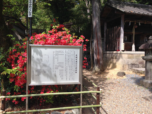 文化財説明板。キリシマの額縁で華やかに。
