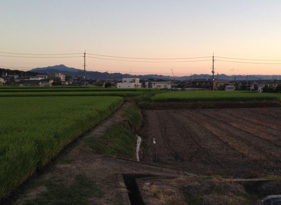長法寺から朝焼けのシルエット。右側の山並みは北山。
