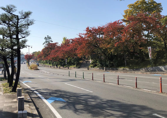 八条ヶ池