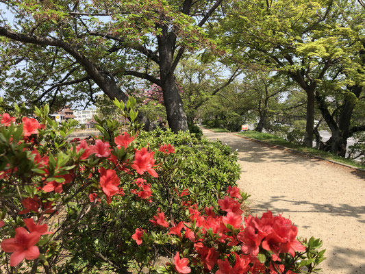 八条ヶ池