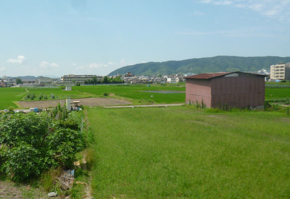 今里からみた天王山と男山