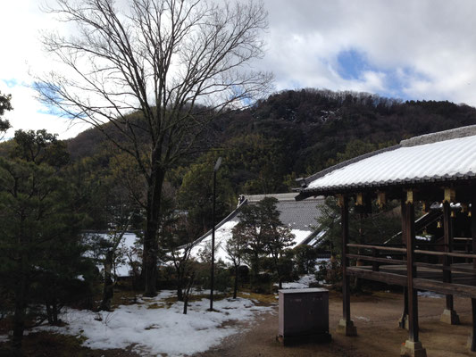 雪化粧の釈迦堂の屋根。