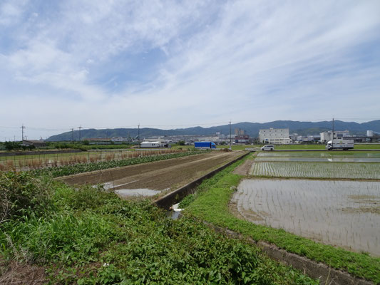 樋爪(京都市)から