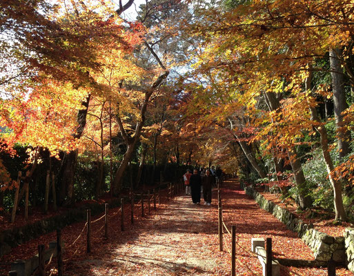 「そうだ京都,いこう」のポスターにもなった美しい紅葉。