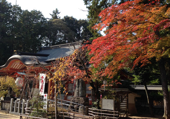 紅葉のころは七五三詣り