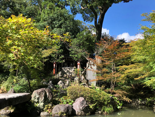 錦景苑