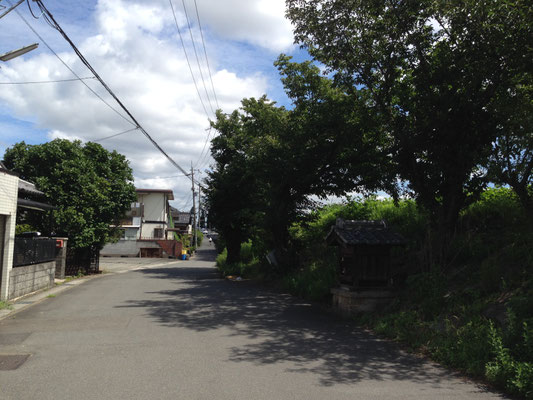 小畑川堤(車道)下の祠に御参り。