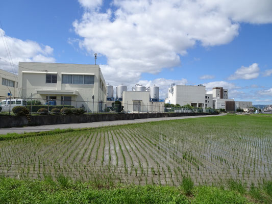 長岡京市神足棚次付近