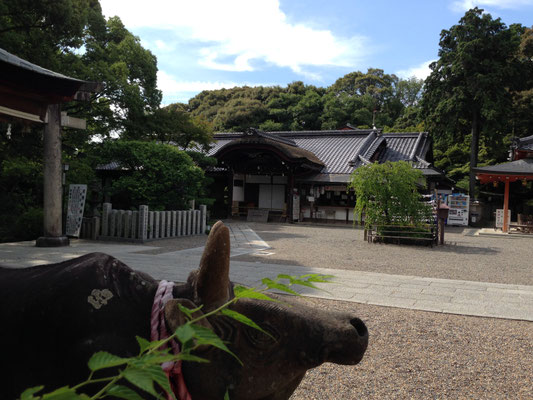 社務所は大正3年(1914)建築。連歌所として建てられたもので、地形を生かした懸け出しの造りとなっている。
