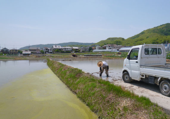 粟生からみた天王山