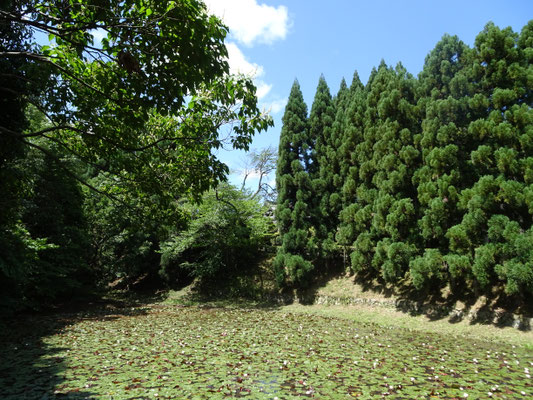 明石池
