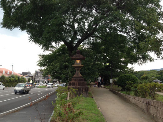 八条ケ池の堤がむかしの丹波街道。