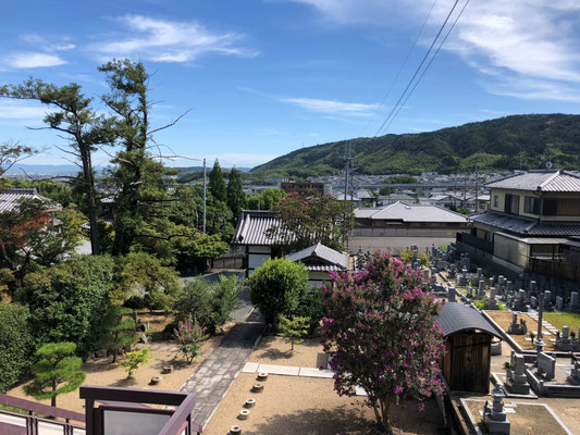 本堂より天王山遠望