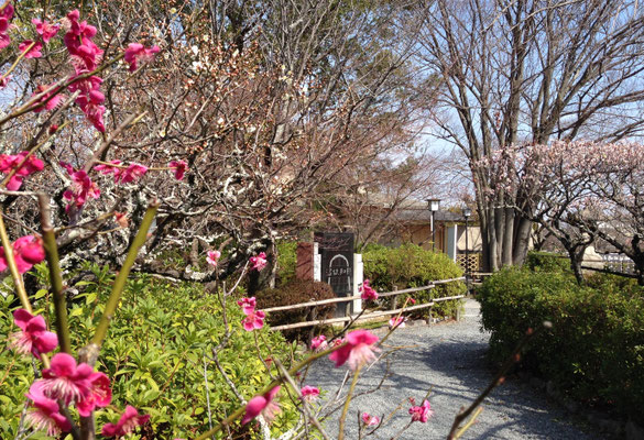梅を添えて「古今伝授の間ゆかりの地」石碑