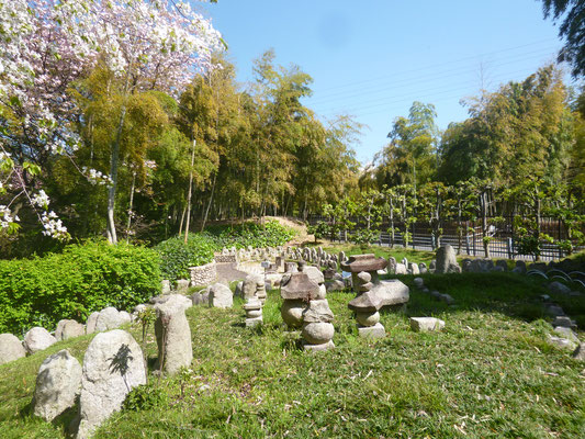 洛西竹林公園