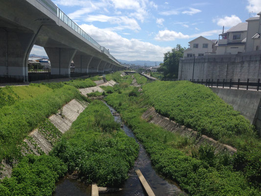 金ケ原橋から下流、阪急西山天王山駅方面。