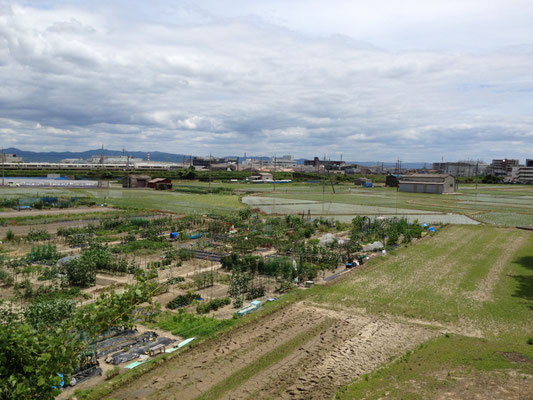 小畑川中流、一文橋付近から東の扇状地を見る。向こうに走るのは、JRの電車。
