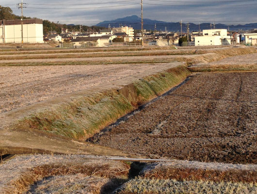 寒い朝、丹波街道から愛宕山。