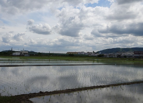 京都市伏見区羽束師から