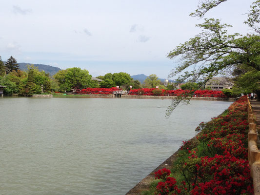 八条ケ池からみた愛宕山(春)