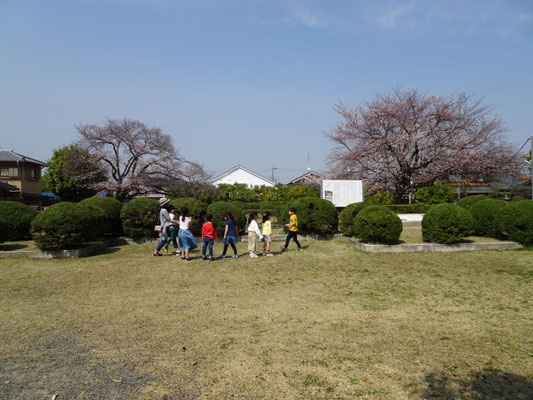 桜の下で