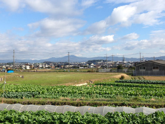 長法寺からみた比叡山。雪山となる冬はいっそう美しい。