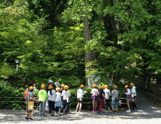 ふるさとガイドさんと野外学習