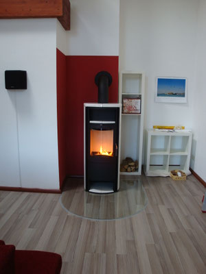 Kaminofen Birkenwerder Hark 98 ecoplus