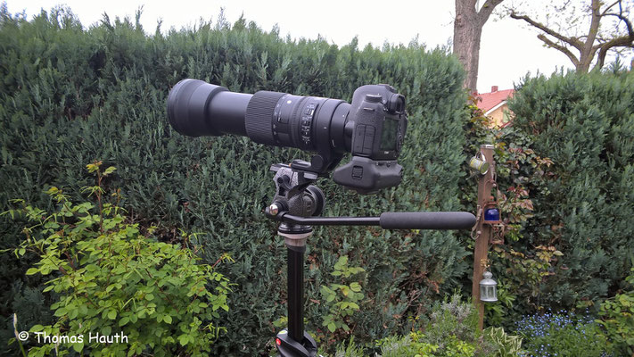 Hier die Kamera mit Batteriegriff und Sigma Contemporary 150-600mm. Alles steht stabil und sehr sicher.