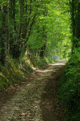 chemin percheron