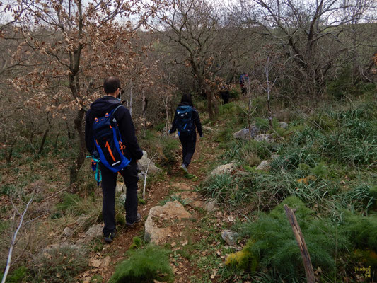 Immersi in uno dei querceti del Parco nazionale Alta Murgia