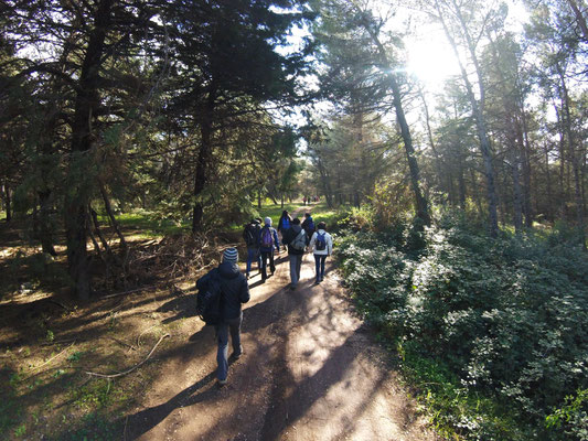 Sui sentieri della foresta di Acquatetta: toponimo composto dal latino aqua(m) e tecta(m) cioè "acqua nascosta". Forse il nome deriva da una sorgente locale dove un tempo i pastori portavano le pecore al bagno prima della tosatura.