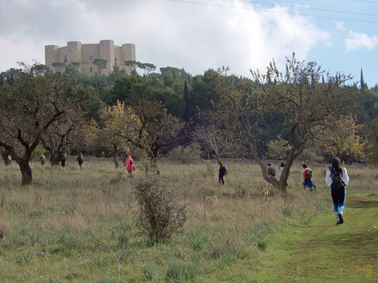 All'ombra della corona di pietra ottagonale: Castel del Monte