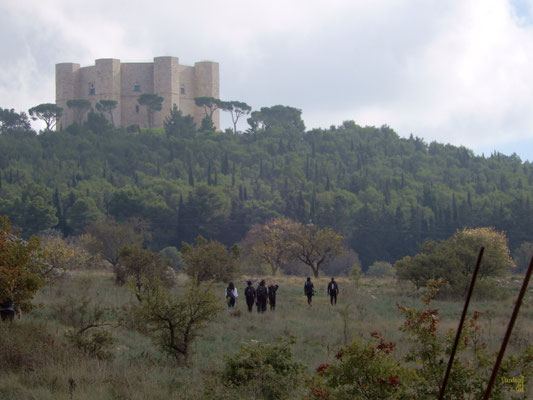 Mistica e affascinante.. La corona di pietra ottagonale