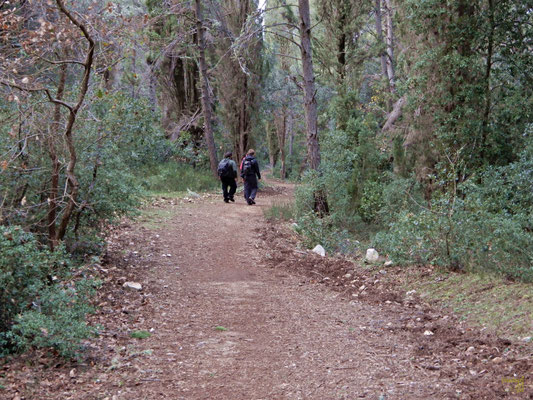 I lunghi sentieri nella foresta che si estende per 1300 ettari.