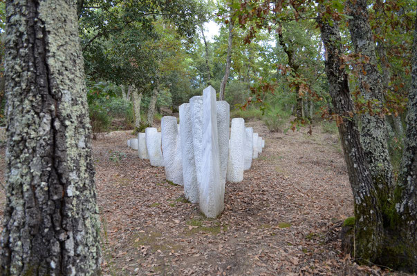 Coin de bois blanc / Nicolas Bertoux, Frankreich