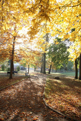 Herbst