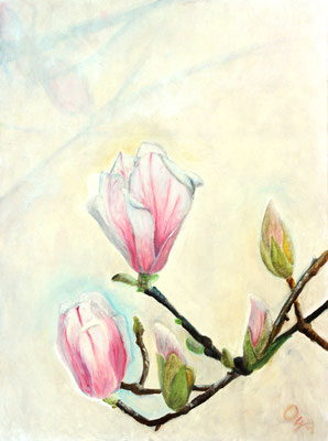 Serie: Magnolien, Öl. 2013 (copyright: oya-kunst, Nadide Ruthammer)