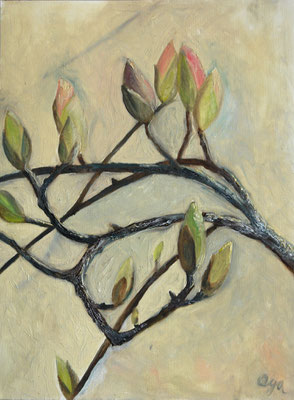 Serie: Magnolien, Öl. 2013 (copyright: oya-kunst, Nadide Ruthammer)