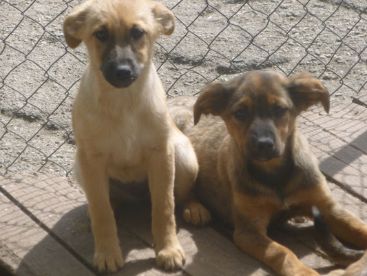 Mia und ihre Schwester Madlen