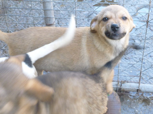 ein erstes Bild von dem kleinen Teo.