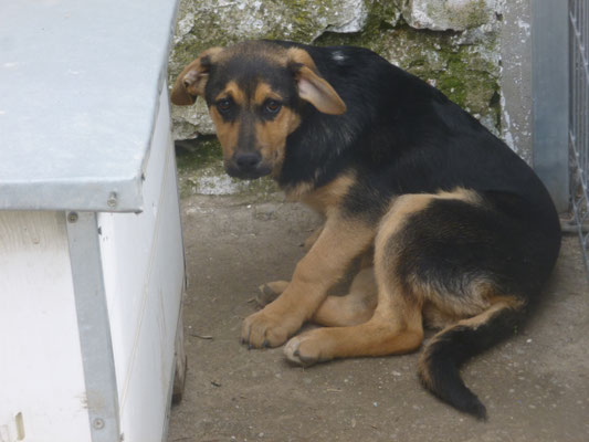 ein erstes Bild von Jovie
