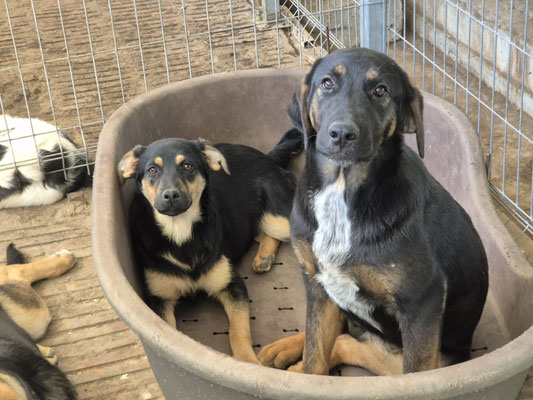 Ebba und Jasmin