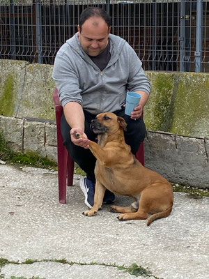 Daniel mit Rocky