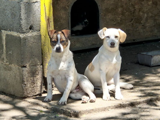 Mio und Gemma