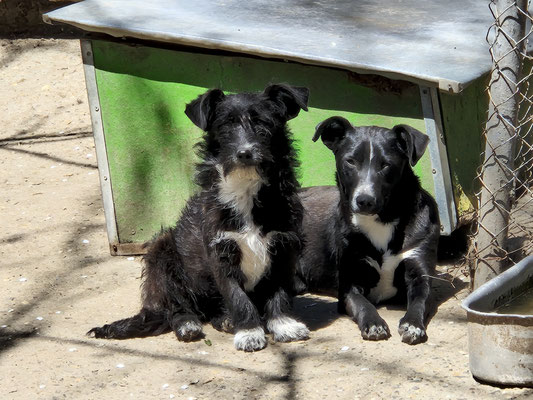 Neymana und Nancy im April 2026