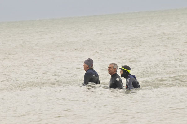 marche aquatique Houlgate - randeaucotefleurie.com