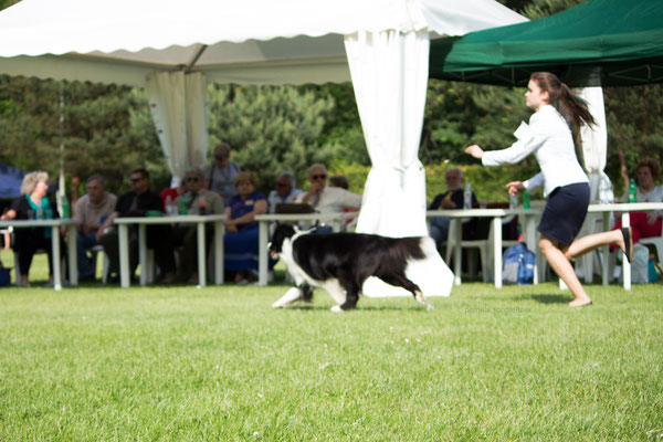 movement in the main ring