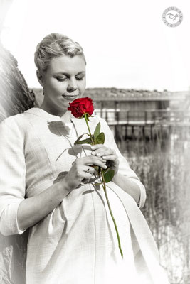 Braut mit Rose Potsdam